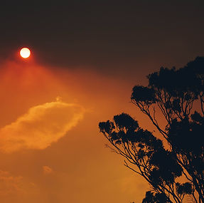 Near-term Social Collapse: Threat or Promise?