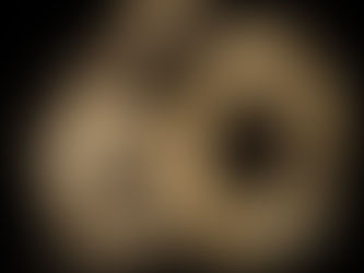 Celebrating the Big Six Zero!