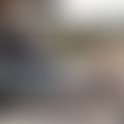 Приціли Trijicon Acog, Elcan C79,  SUSAT і Elcan SpecterDR