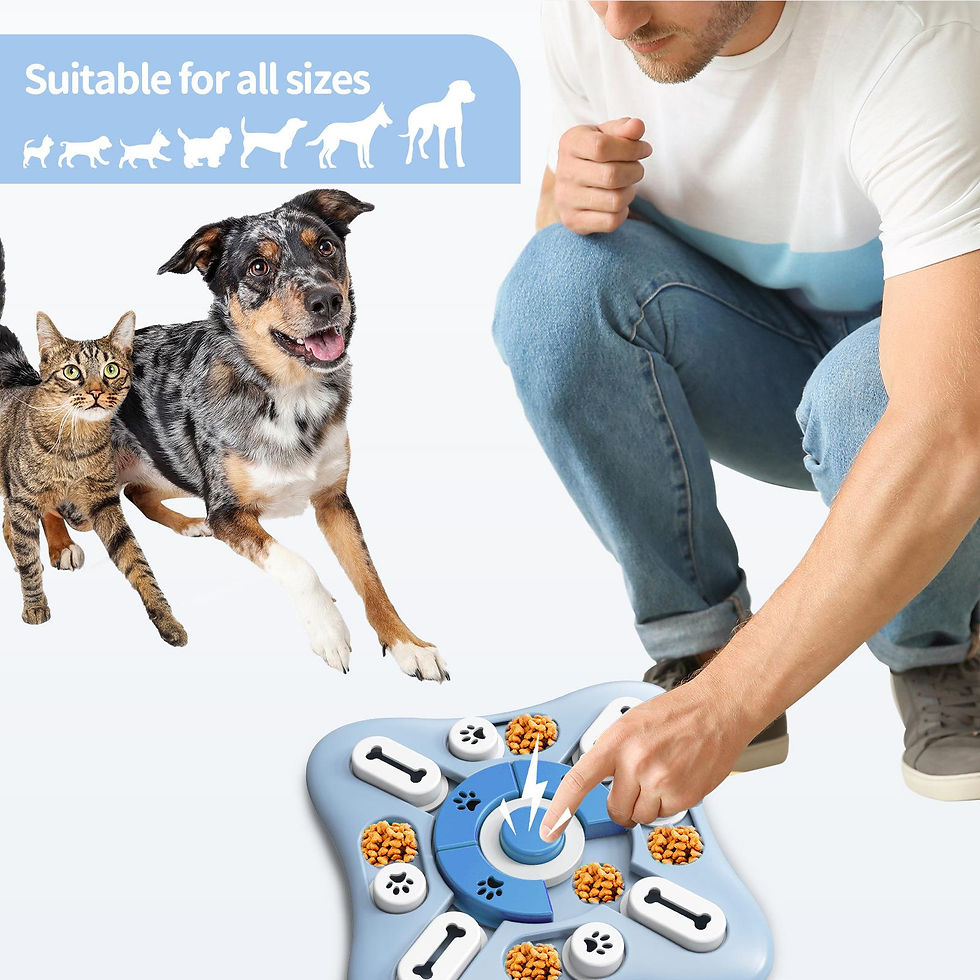Thumbnail: Interactive Dog Treat Puzzle