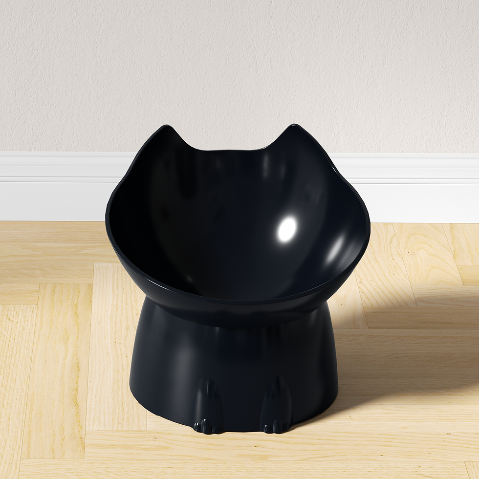 Thumbnail: Elevated Cat Feeding Bowl