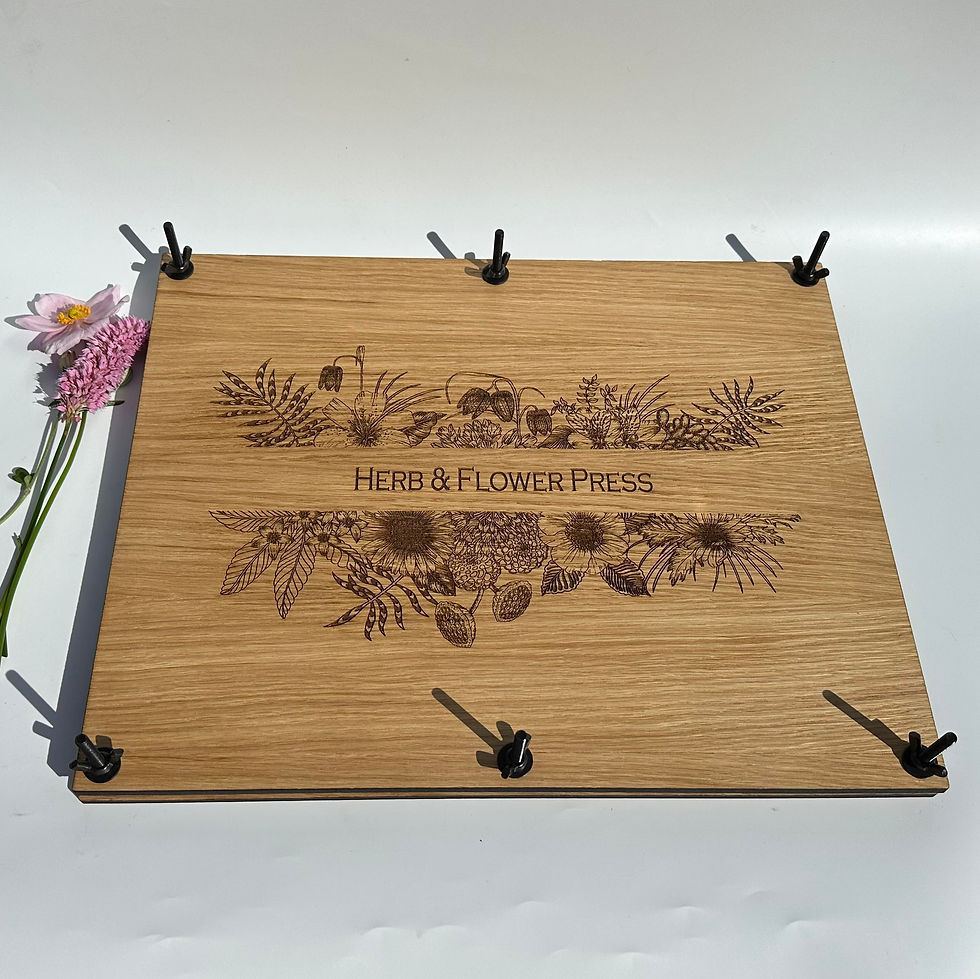Thumbnail: Extra Large (A3) Herb and Flower Press