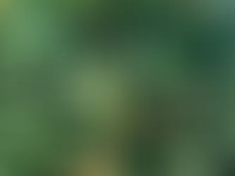 Hier dreht sich alles um Gesundheit, Sport, Regeneration und Zufriedenheit!