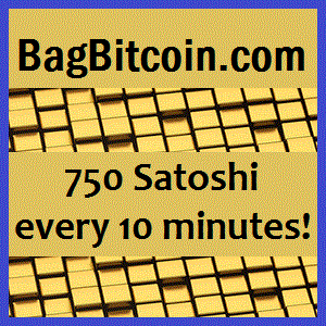 bagbitcoin2-300x300