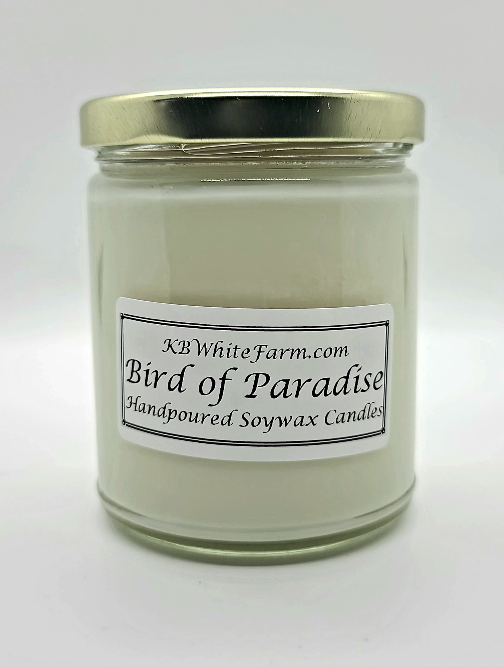 Bird of Paradise Soywax Candle 9oz