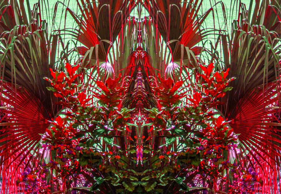 9258-100shadow white60 Grn & Red-1 cropped.jpg