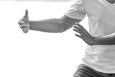 Tai Chi in Motion_edited.jpg