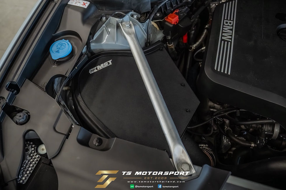 กรอง MST Performance