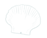 Scallop Inverted (white) copy 2.png