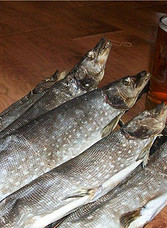 shuka-vyalenaya-recept.jpg