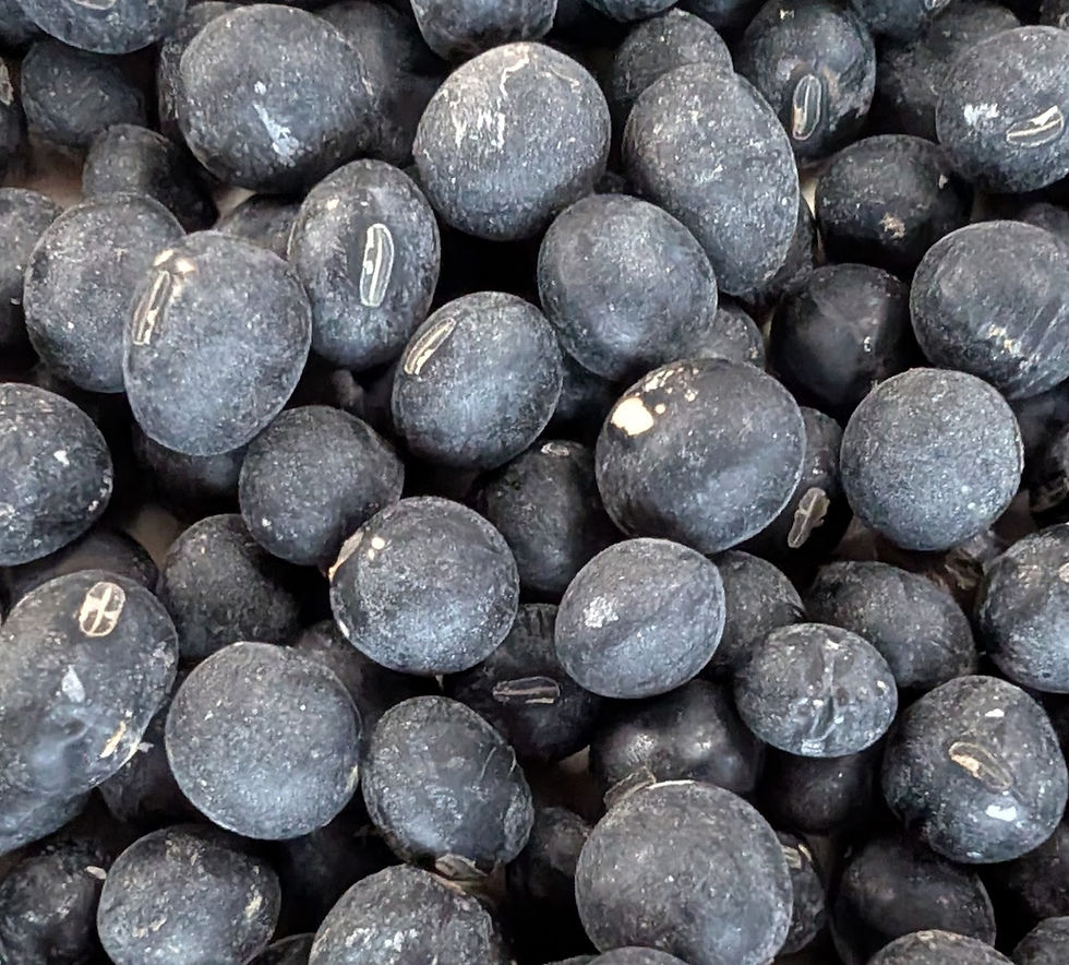 丹波黒豆(特選一級)100g