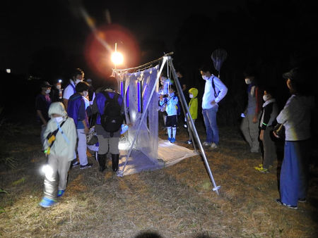 夜の虫とか観察会