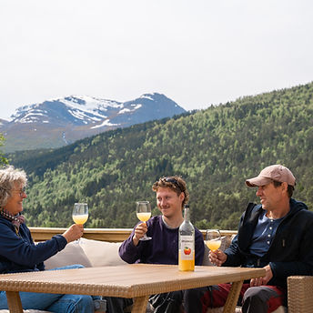påldtun_solfure-1.jpg