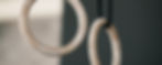 Ringe.jpg