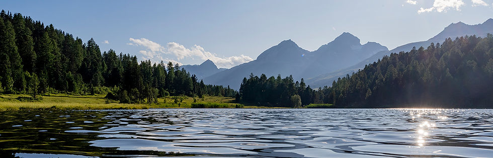 Header_Sommer.jpg