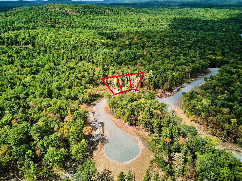 terrains laurentides a vendre.jpeg