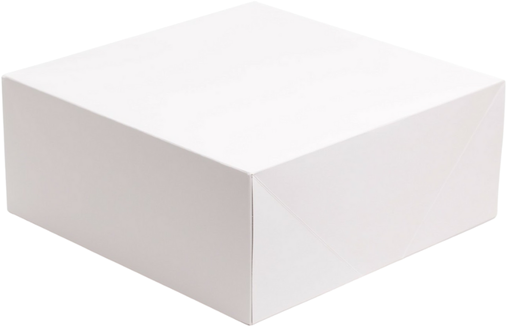 Caixa P/Bolos (40x20x10) - 50 Unidades