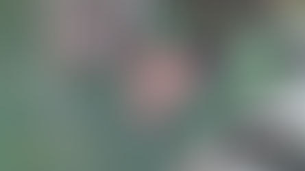 The Next Level of Inventory Tracking