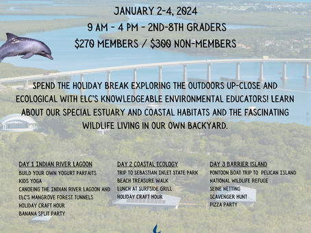 Sea to Shore New Years Holiday Break Camp!