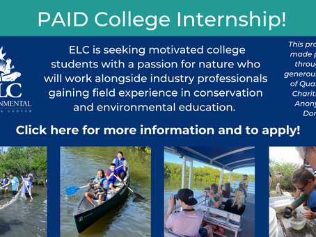 Apply Now for a Paid College Internship with ELC!