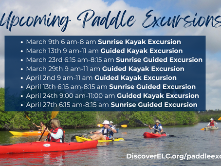 March & April Guided Kayak Excursions