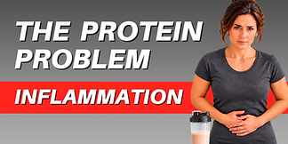 High-Protein Diet Not Working_ Why the Protein Source Matters.png