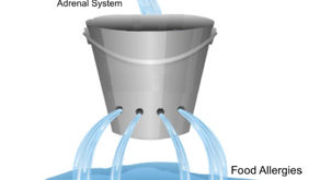 Your Leaky Bucket... Why Supplements and Medicines often fail to help...
