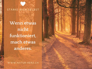 Wenn etwas nicht funktioniert, mach etwas anderes