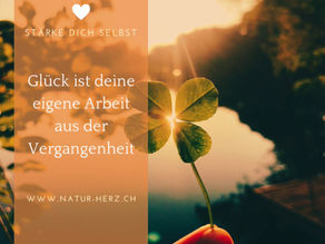 Glück – Die Ernte unserer Vergangenheit