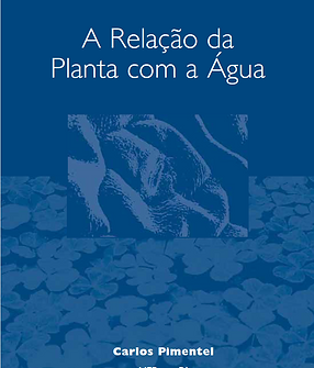 Captura de ecrã 2025-07-05 193348.png