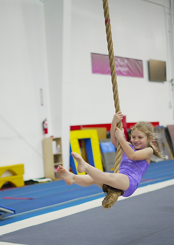Rope Swing.png