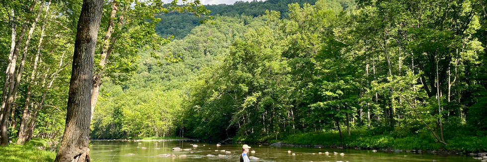 Bluestone National Scenic River