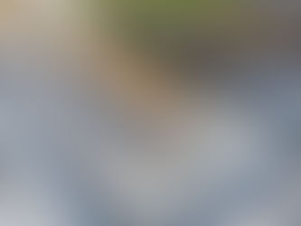 The Authority Newsletter - December 2025