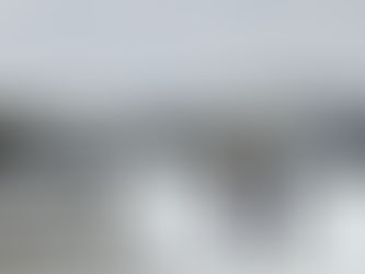 The Authority Newsletter- February 2026