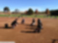 26_536349_389993001080860_1794939046_n.jpg