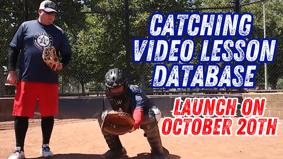 Image - Catching Video Lesson Database (1).png