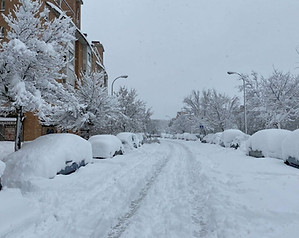 Daños debidos a nieves extraordinarias
