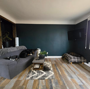 Budget-Friendly Home Renovations: Simple Updates That Won’t Break the Bank