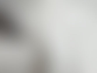 猫も毛布にもぐりたい<雑談>