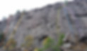 Eyeball topo.jpeg