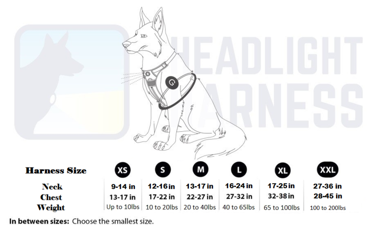 Thumbnail: Headlight Harness + Leash