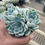 Thumbnail: Echeveria sp A34
