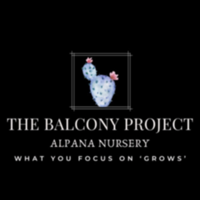 The balcony project (2)_edited.jpg