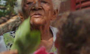 dona-cecilia.jpg