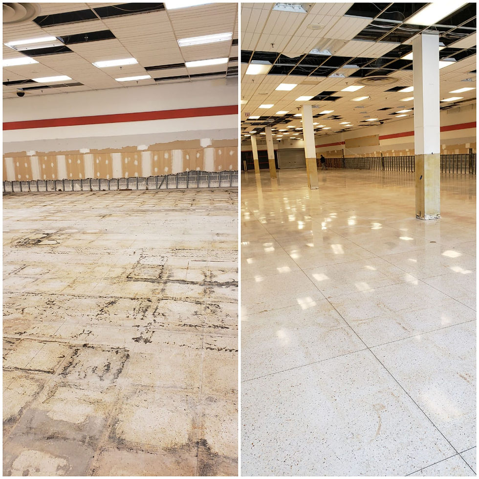 Terrazzo Polishing
