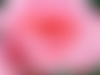 Rahanni Celestial Healing: Healing Through the Heart