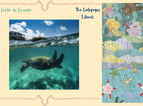 Galapagos cover.jpg