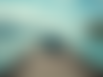 Essential Travel Tips for Visiting Bocas del Toro