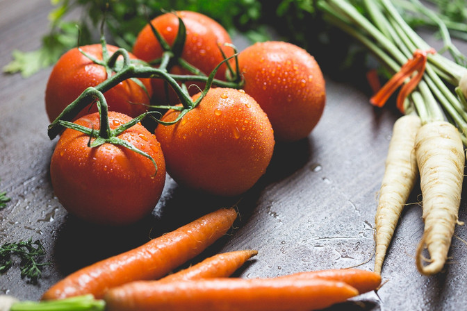Ideas on how to strengthen agriculture training in South Africa