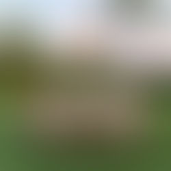 How to Plan an Elegant Outdoor Wedding in Miami